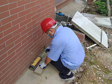 自然驅(qū)逐老鼠安家的方法