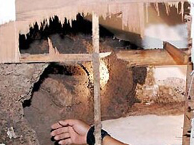 南城白蟻預(yù)防中心主要防治白蟻危害的兩個方面