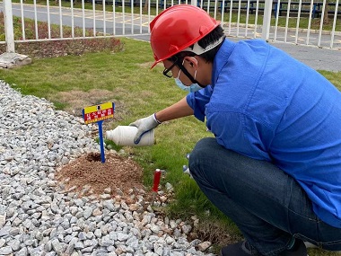 東莞紅火蟻滅治站——什么是紅火蟻？紅火蟻的危害