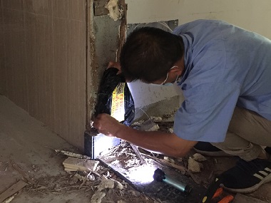 虎門白蟻備案站：防治白蟻有三個(gè)步驟來防備